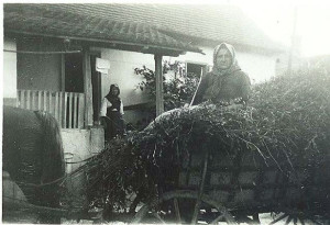 Roditeljska kuća Tadijanovića u Rastušju